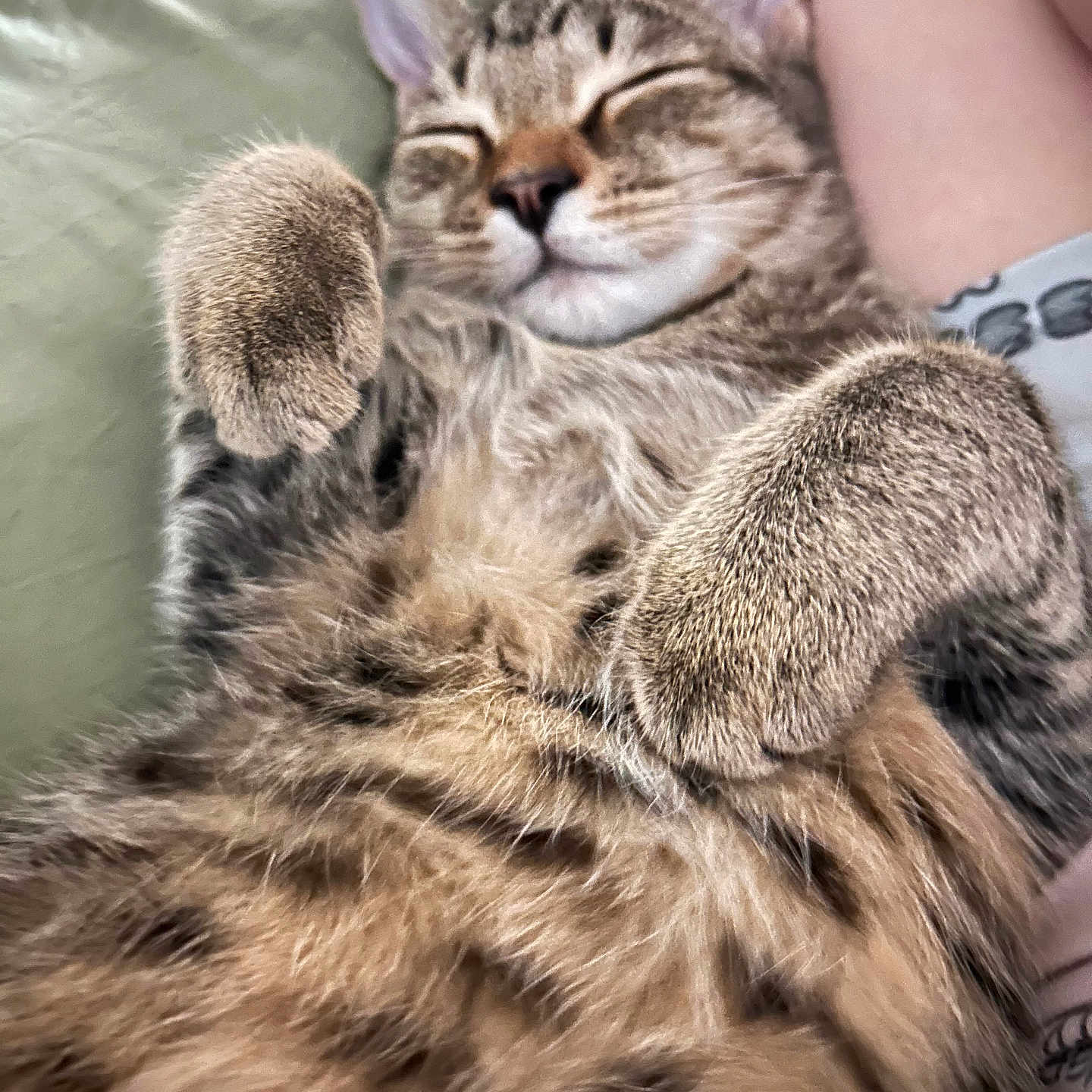 Mello