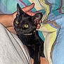 black_cat, cat, pet, animal, person, hand, bed, blanket, striped_blanket, yellow_eyes, indoor, cozy, resting, fur, collar, domestic_cat, cute, comfort, relaxation, close_up