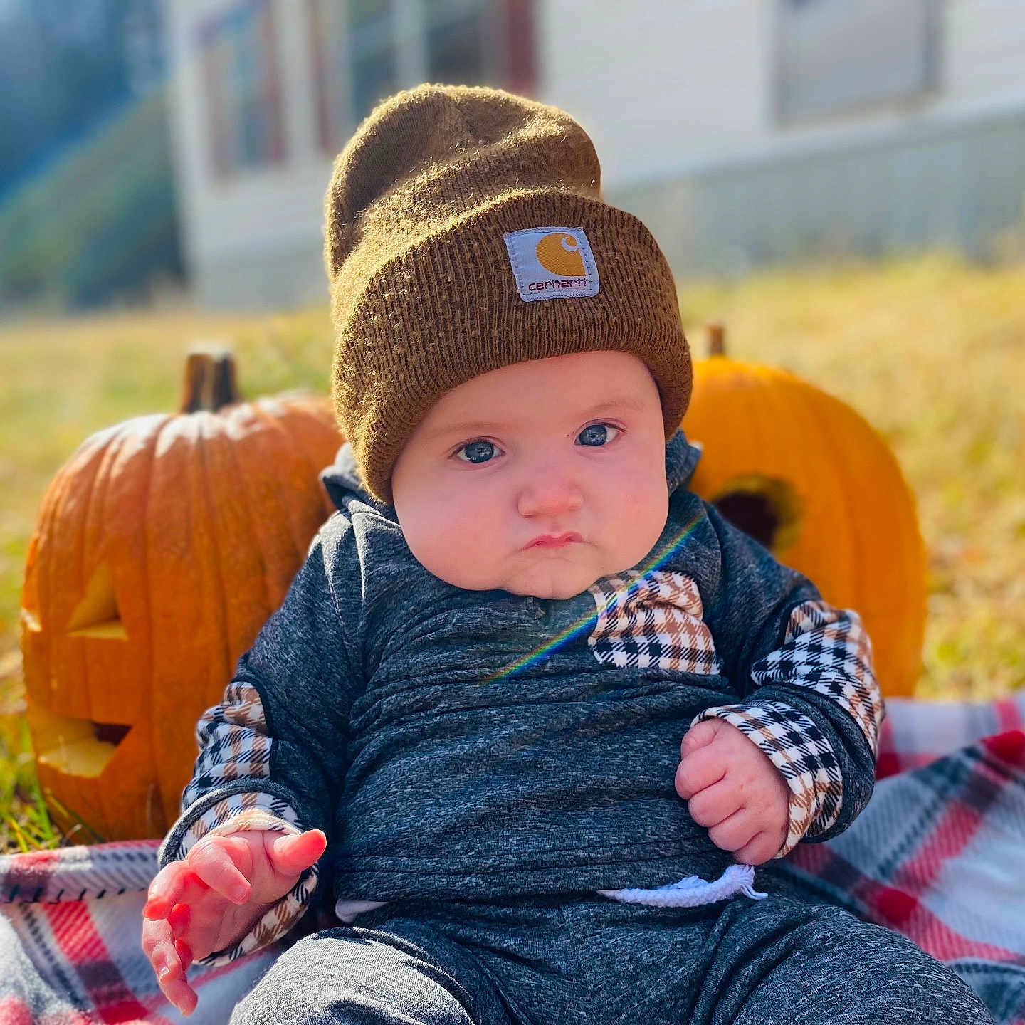 Jesse is registered to the contest to win money with this photo: baby, bodypart, cap, clothing, face, finger, food, grass, hat, head, jeans, pants, person, photography, plant, portrait, produce, pumpkin, squash, vegetable