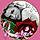 Véronique M.