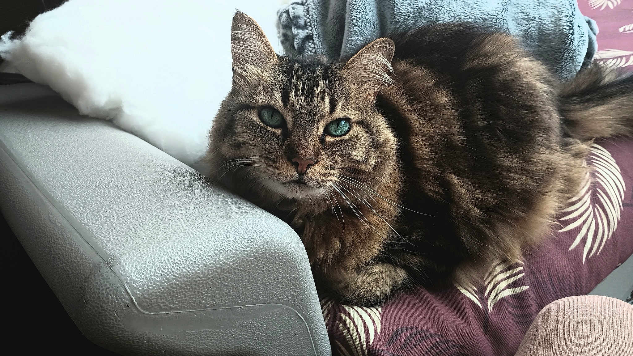 Demetri