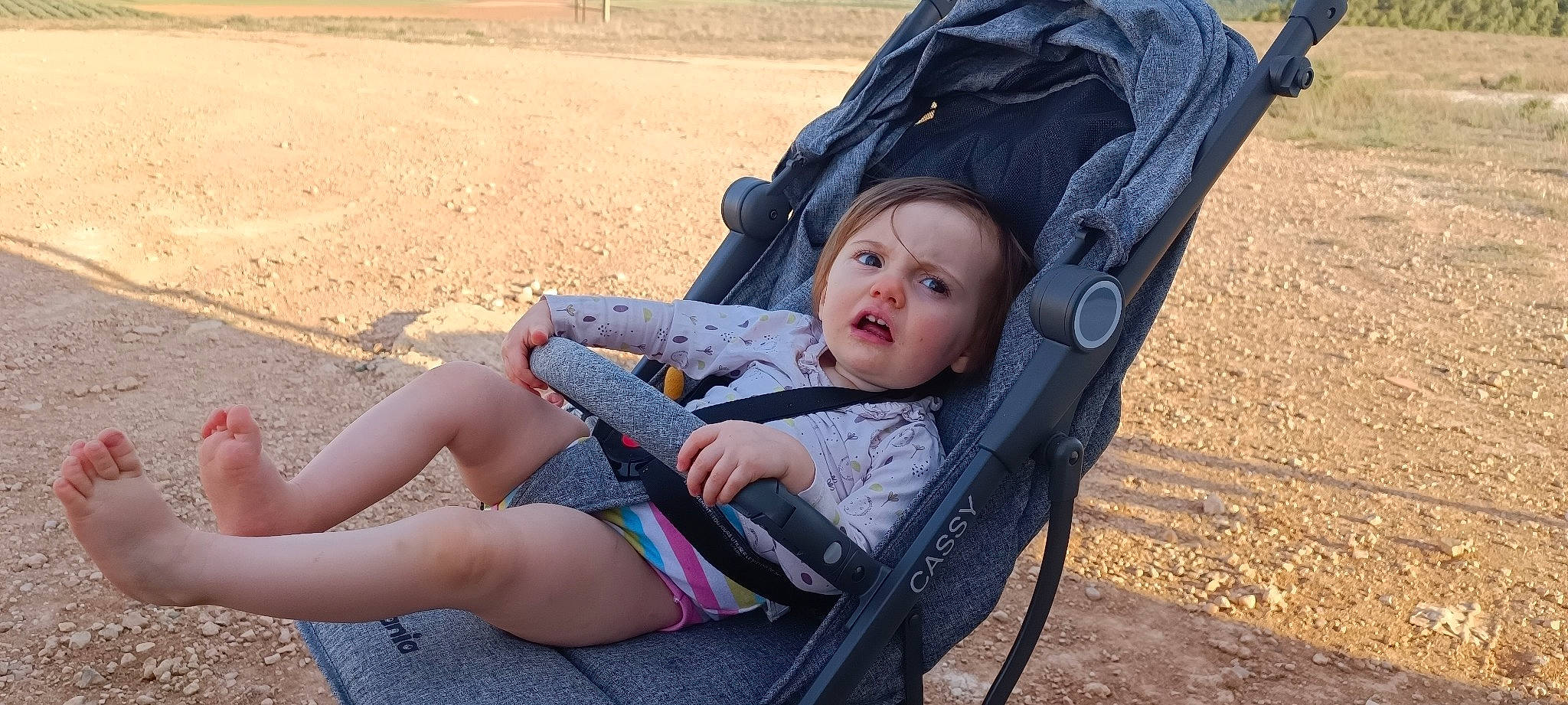 Lily-rose participe au concours pour gagner de l&#x27;argent avec cette photo : baby, baby_carriage, baby_products, comfort, eye, fun, grass, hand, human_leg, leg, leisure, people_in_nature, person, photograph, plant, sitting, skin, sorrow, thigh, toddler