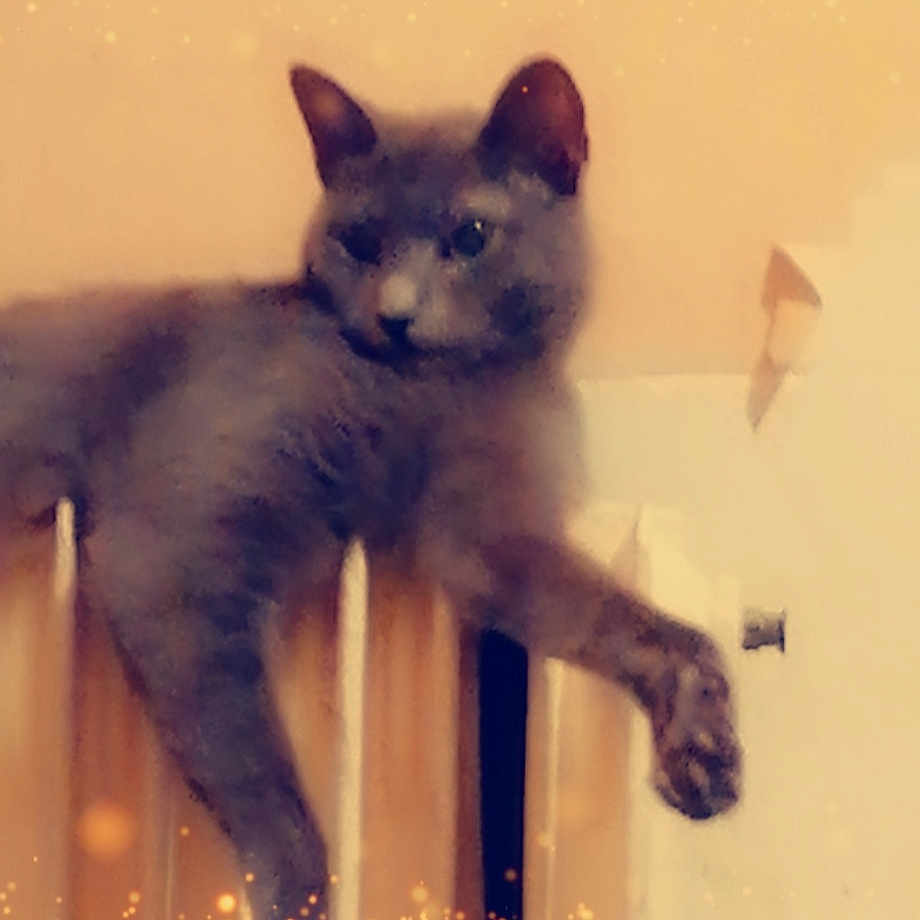 Orphée