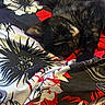 Pearl is registered to the contest to win money with this photo: cat, tortoiseshell, sleeping, bed, blanket, floral_pattern, indoor, cozy, resting, feline, animal, pet, soft, cute, relaxed, fur, comfort, domestic, colorful, patterned
