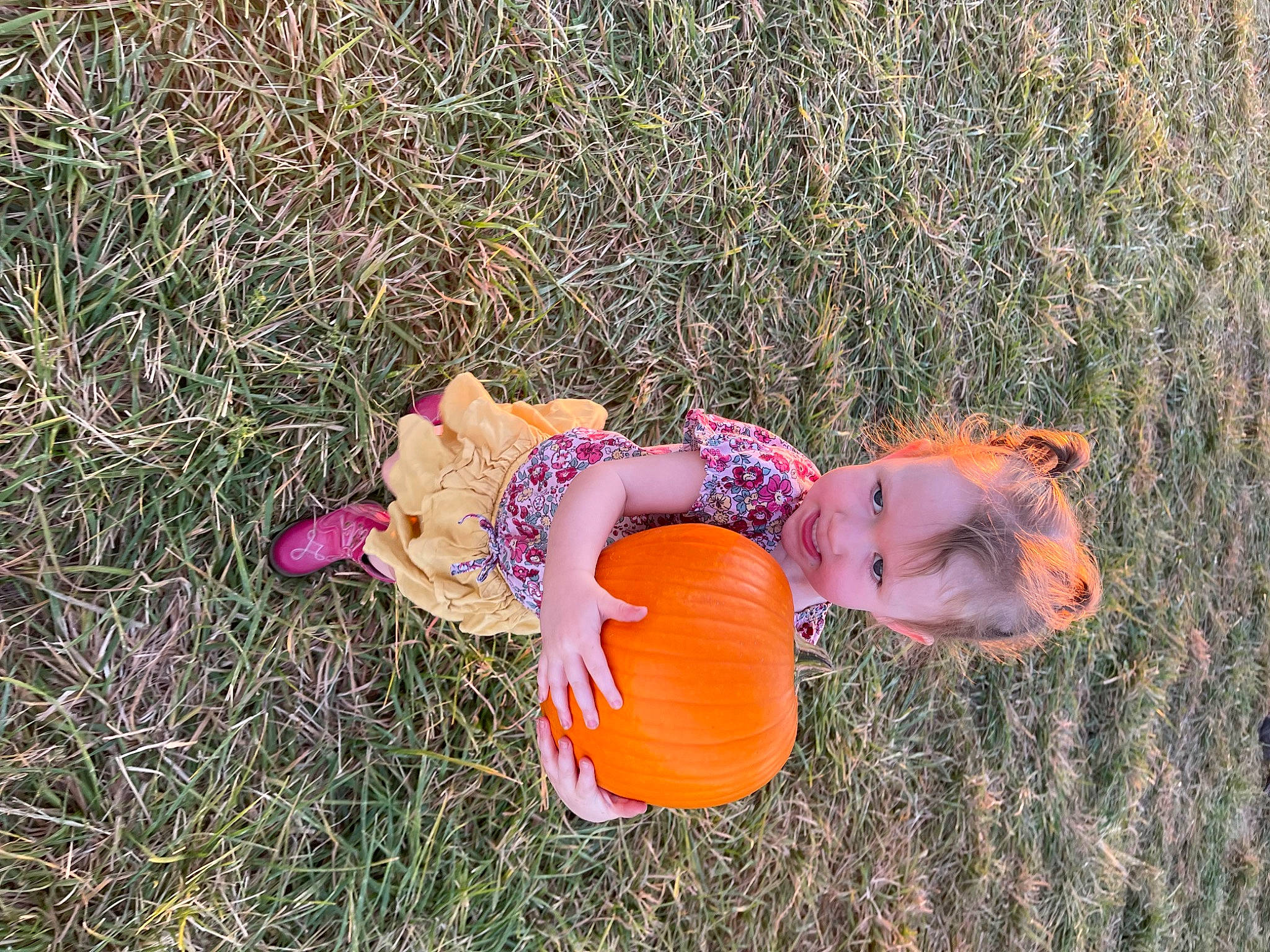 Izabella joined the competition — help win amazing prizes! child, field, fun, grass, grass_family, grassland, happy, hat, landscape, leisure, meadow, people_in_nature, person, plant, prairie, pumpkin, recreation, smile, soil, toddler