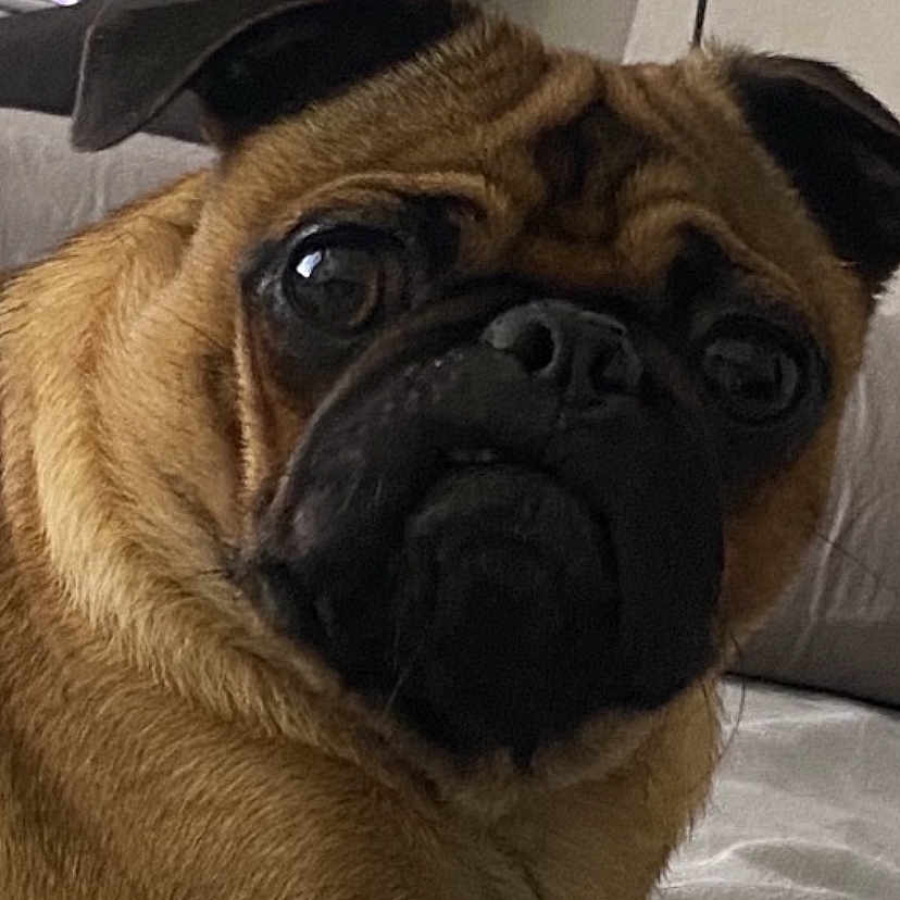 Nacho