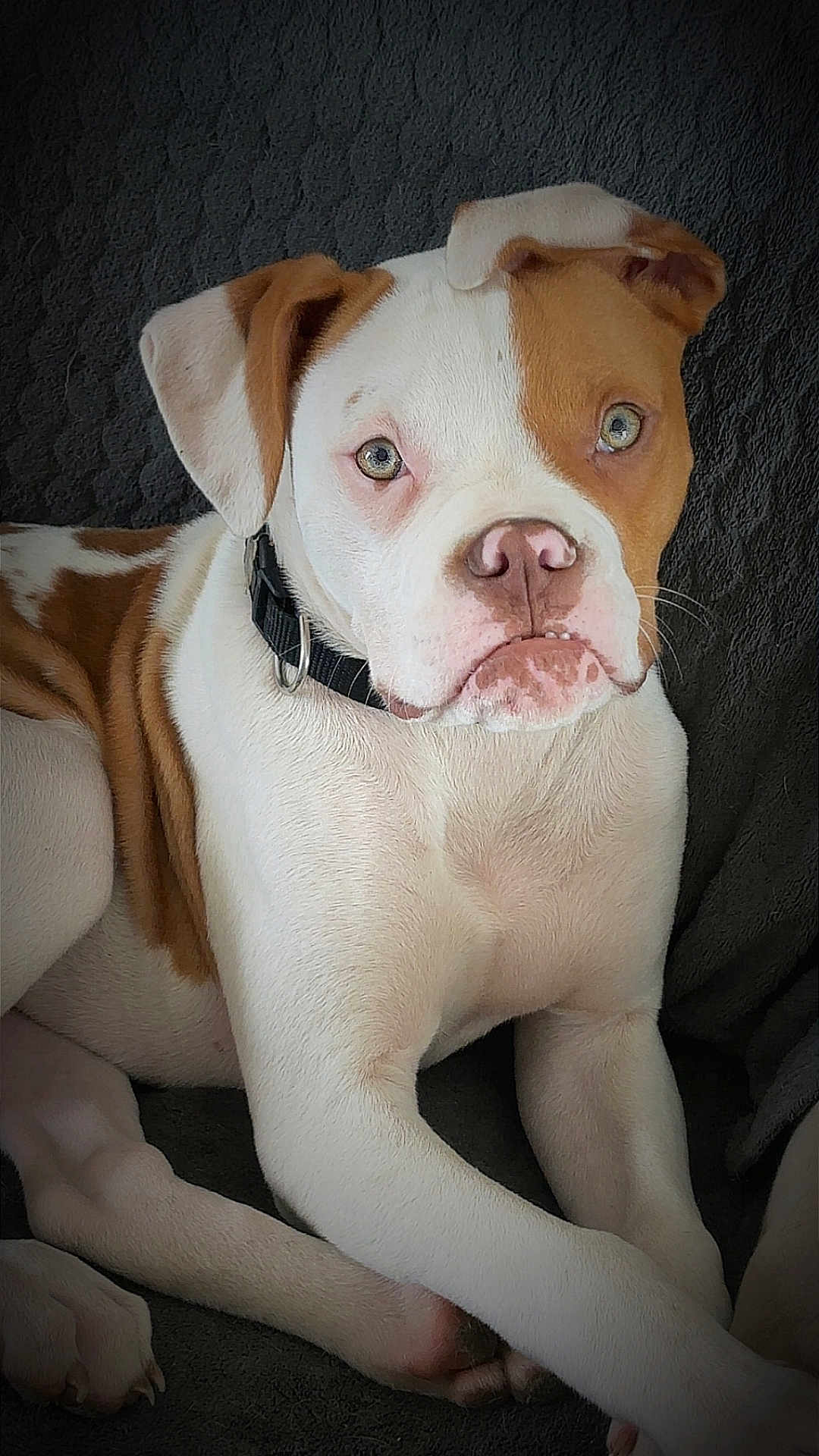Atom