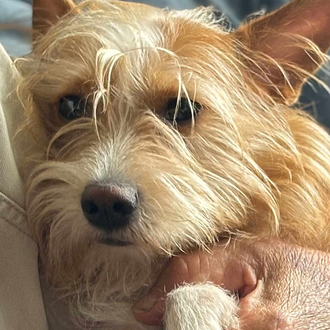 Charlie