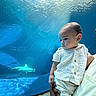 Kayden joined the competition — help win amazing prizes! adult_hand, animal, aquarium, baby, blue, child, clothing, curious, hammerhead_shark, holding, light, marine_life, person, portrait, reflection, sunlight, tank, toddler, underwater, water