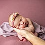 newborn, baby, sleeping, headband, flower, hand, soft, blanket, mauve, delicate, peaceful, portrait, infant, cute, resting, closeup, skin, child, tender, support
