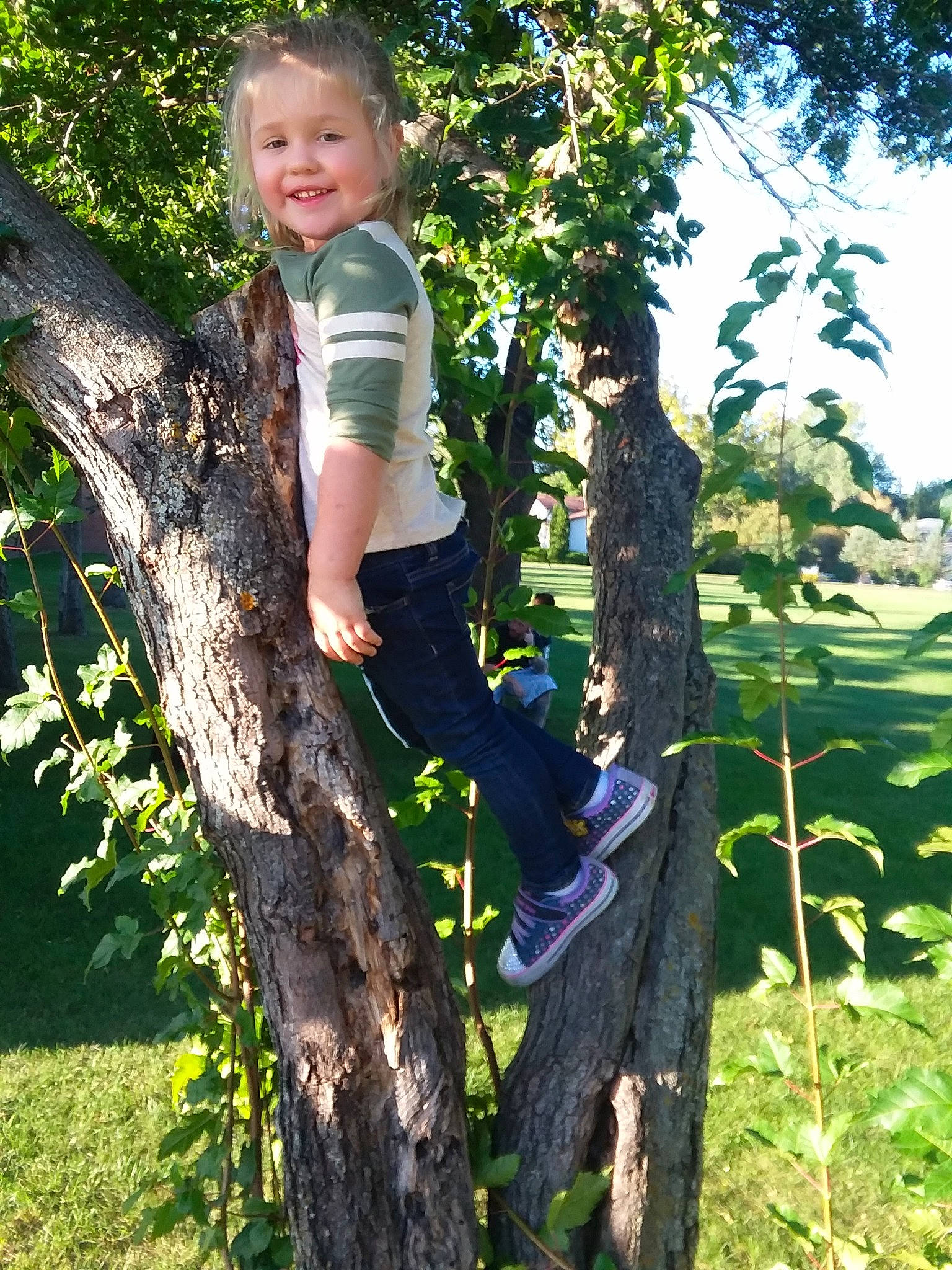 Vada is registered to the contest to win money with this photo: branch, joy, person, plant, tree, trunk, woody_plant