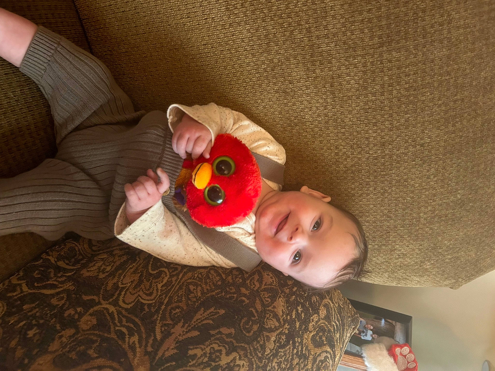 Grayson joined the competition — help win amazing prizes! baby, baby_toddler_clothing, carmine, child, comfort, coquelicot, couch, flooring, flower, hat, joy, linens, person, petal, plant, room, rose, smile, toddler, wood