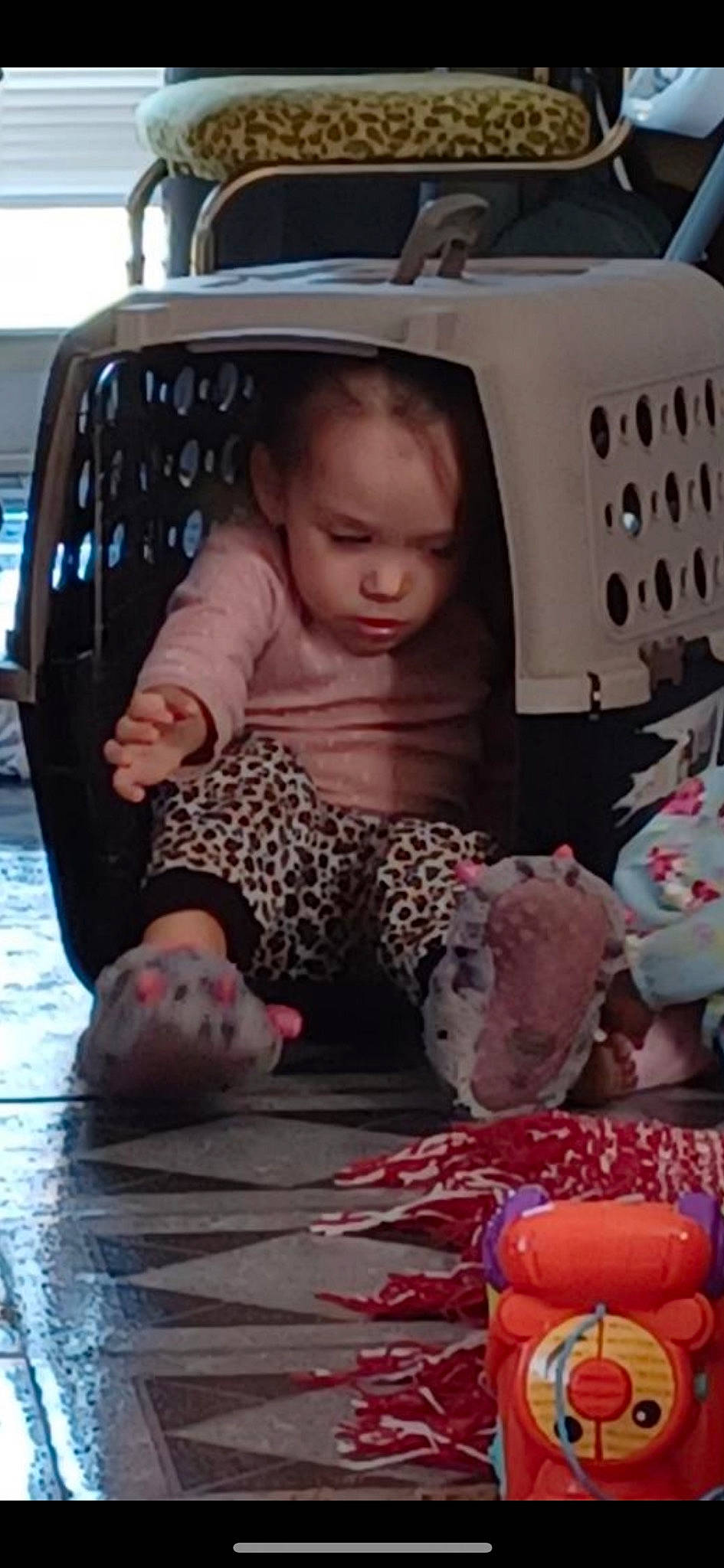 Sabrina joined the competition — help win amazing prizes! automotive_exterior, automotive_lighting, baby, bumper, car_seat, carmine, child, family_car, flooring, fun, hood, human_leg, motor_vehicle, pattern, person, pink, sitting, toddler, toy, vehicle_door