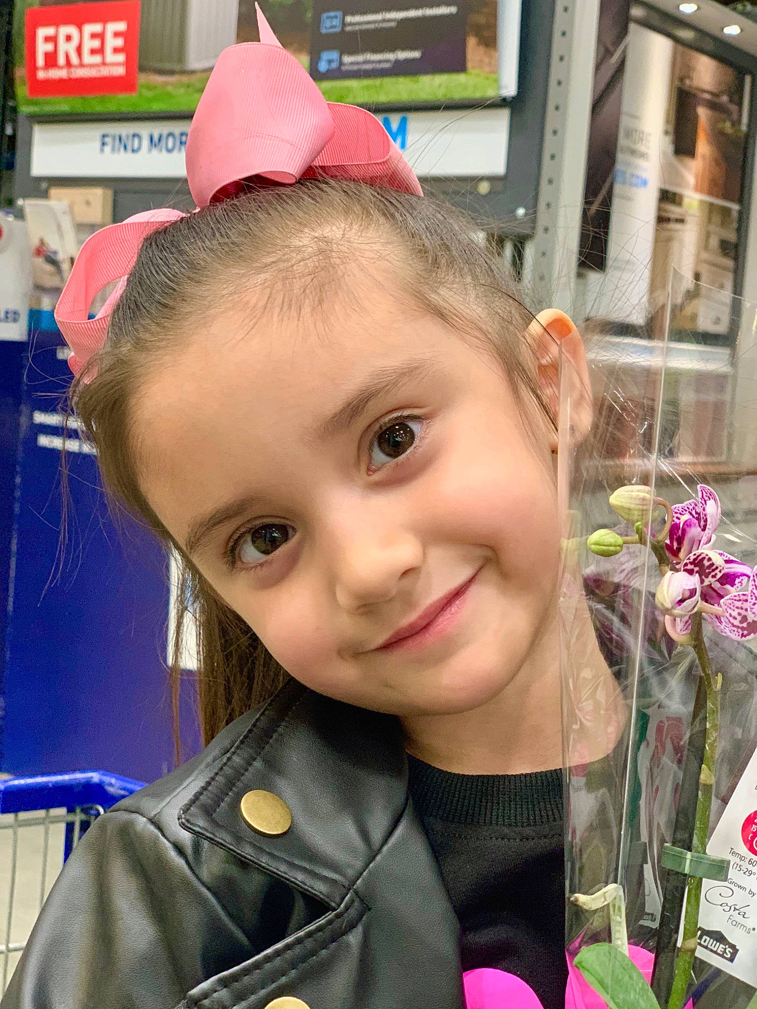 Katalin Nevaeh Moser is registered to the contest to win money with this photo: child, child_model, ear, flower, forehead, hair, hair_coloring, hairstyle, joy, lip, person, pink, plant, smile