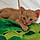 Nalla