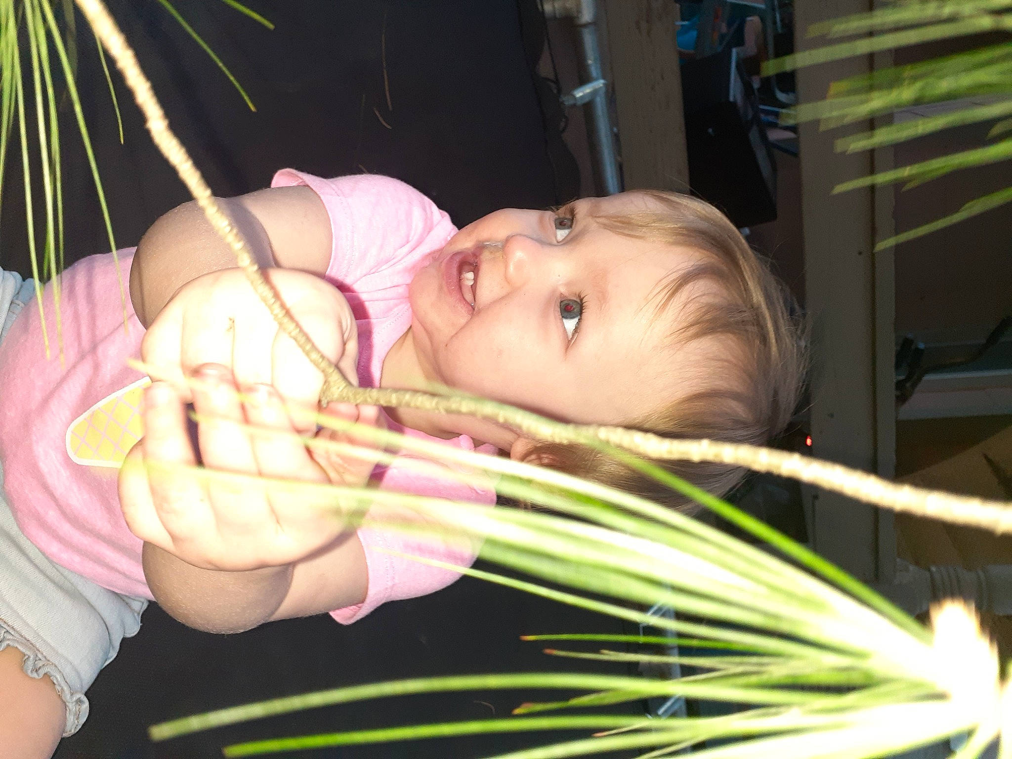 Maisy joined the competition — help win amazing prizes! baby, cheek, child, face, head, nose, person, skin, smile, toddler