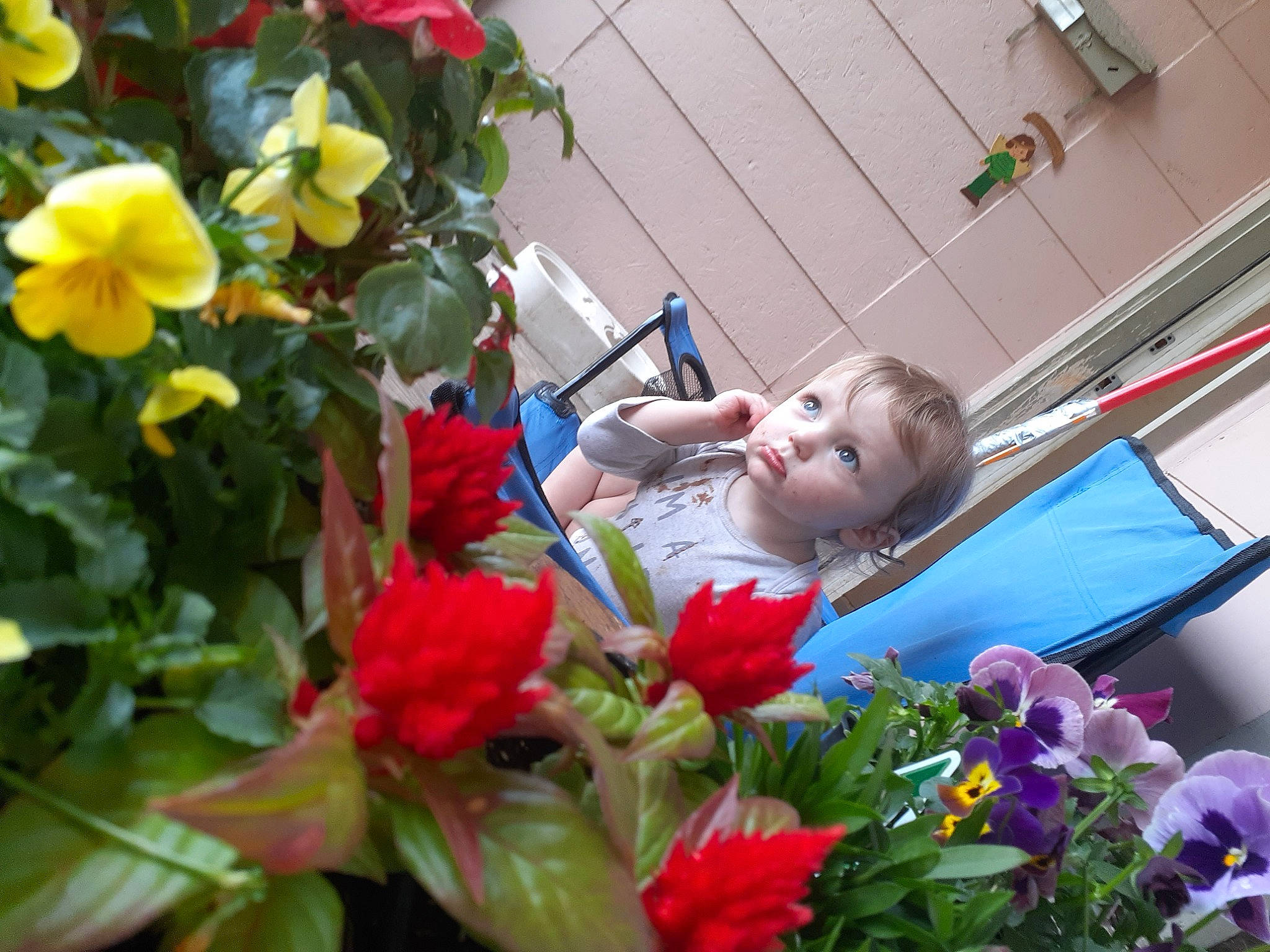 Maisy is registered to the contest to win money with this photo: art, bouquet, cut_flowers, floral_design, floristry, flower, flower_arranging, flowering_plant, houseplant, perennial_plant, person, petal, plant, spring