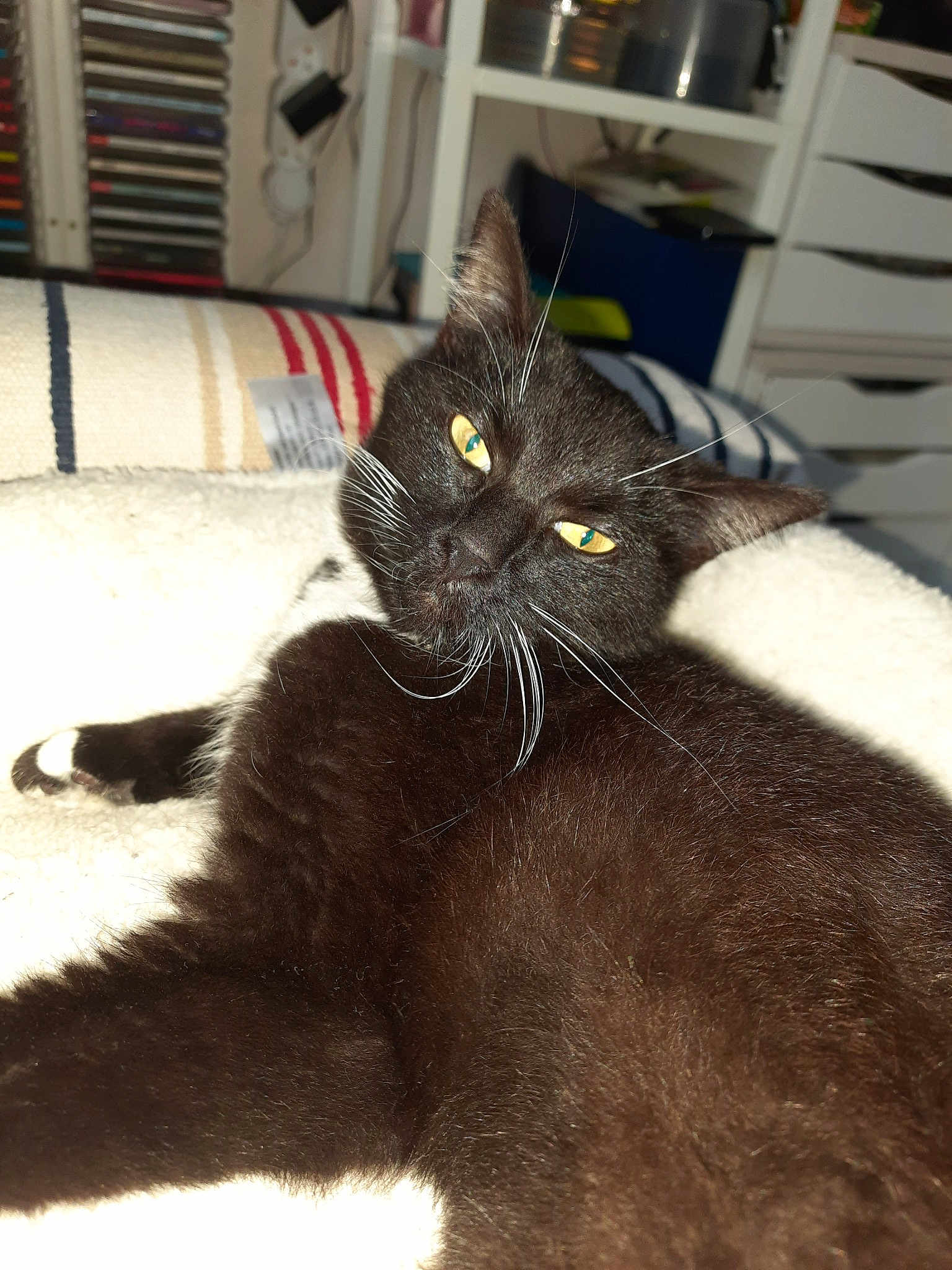 Alba