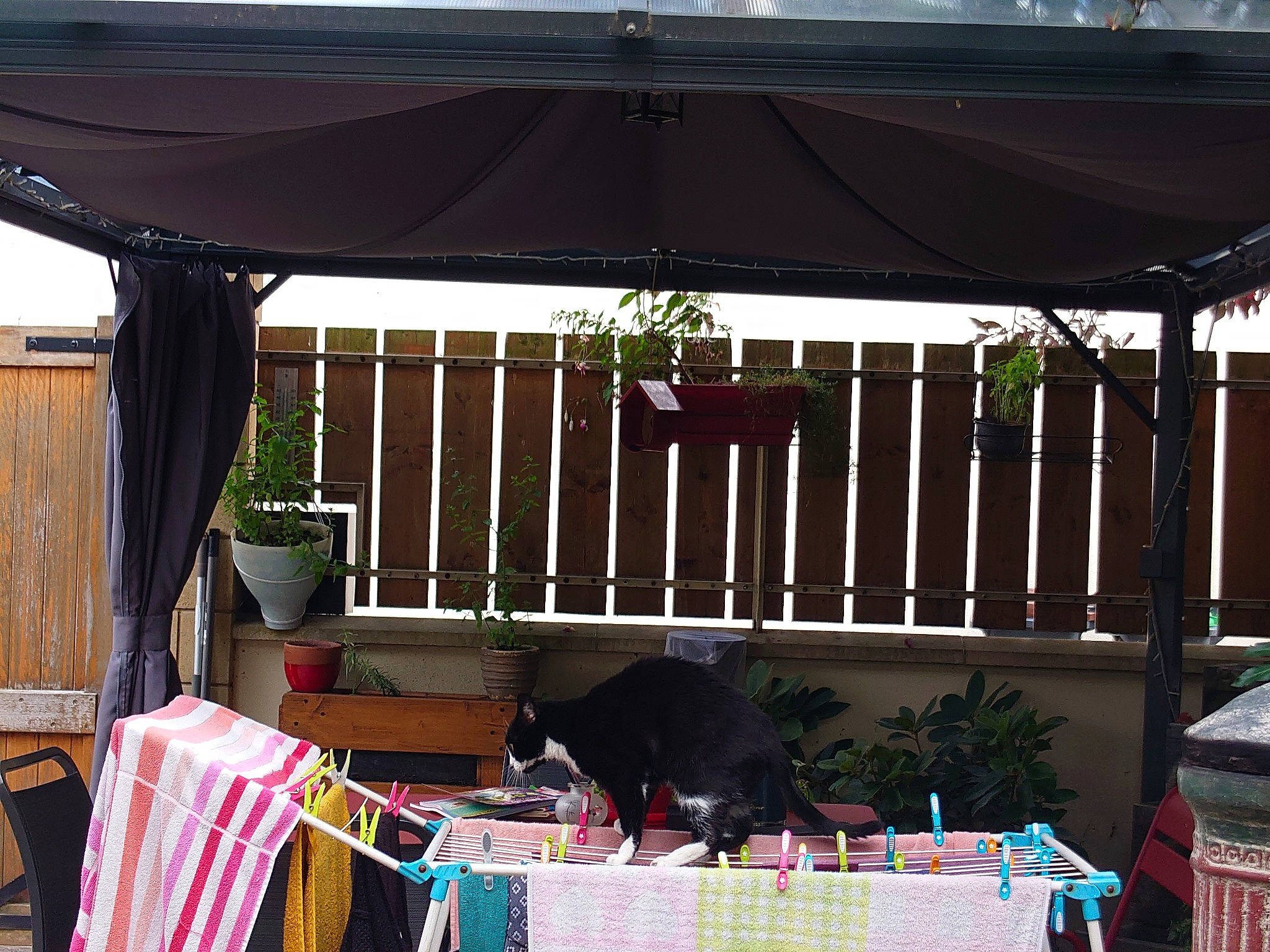 Chatoune participe au concours pour gagner de l'argent avec cette photo : awning, canopy, deck, event, fashion_accessory, gazebo, landscaping, leisure, linens, outdoor_furniture, outdoor_structure, outdoor_table, plant, porch, rectangle, roof, room, shade, tints_and_shades, wood