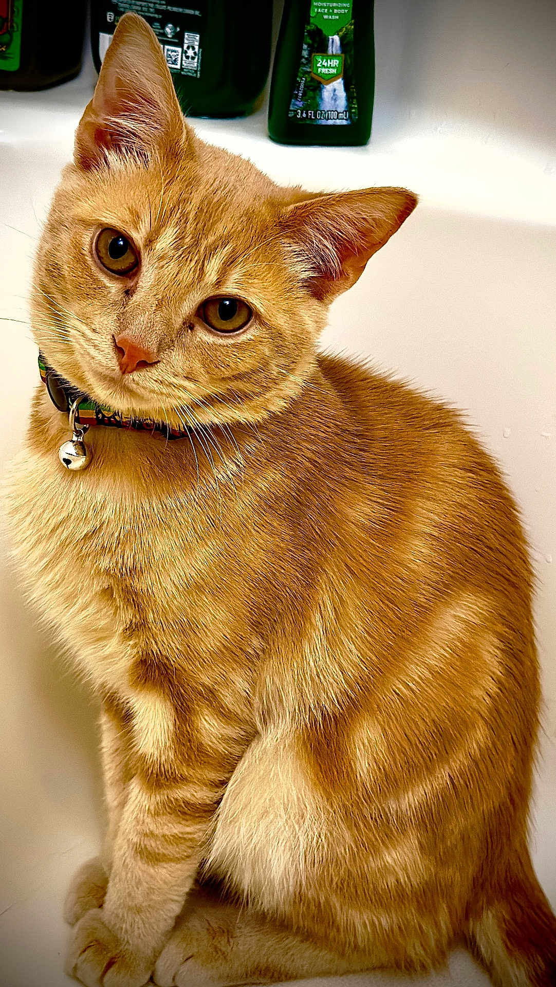 Murphy