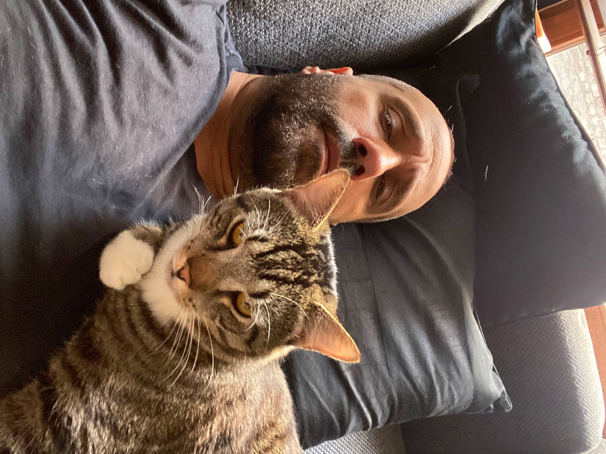 Tigroux participe au concours pour gagner de l'argent avec cette photo : carnivore, cat, claw, comfort, domestic_short_haired_cat, elbow, fawn, felidae, fur, hat, mammal, sleeve, small_to_medium_sized_cats, sunglasses, t_shirt, terrestrial_animal, whiskers, wildlife