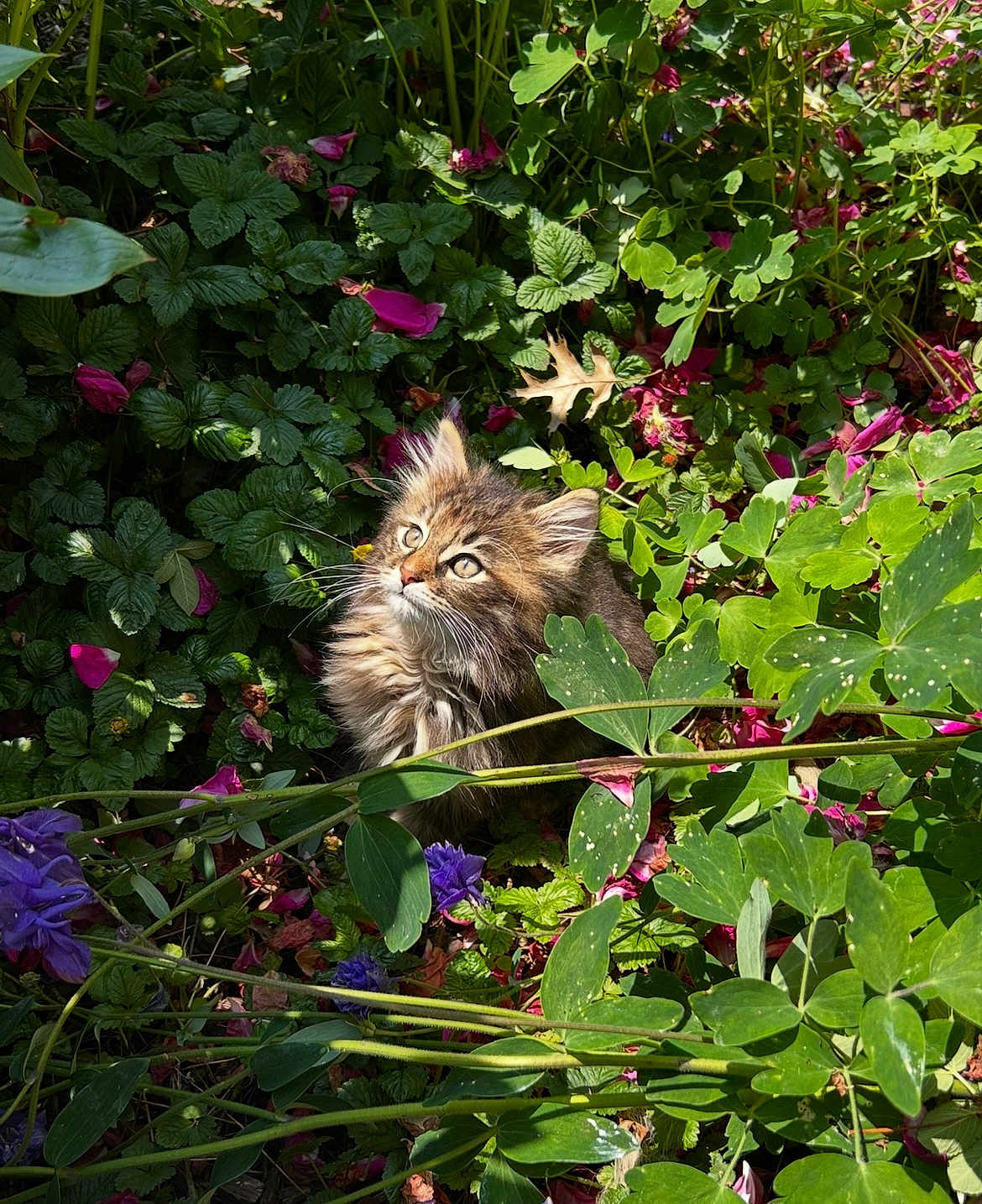Jackie