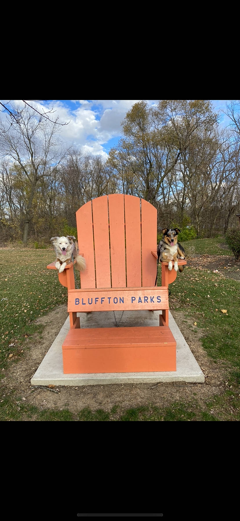 Blu And Cricket joined the competition — help win amazing prizes! art, chair, cloud, gas, grass, house, landscape, lawn_ornament, leisure, outdoor_furniture, outdoor_play_equipment, plant, playground_slide, recreation, sculpture, sky, soil, swing, tree, wood