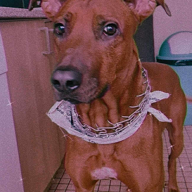 Max