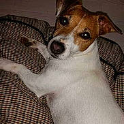 Emy a rejoint le concours — aidez-le/la à gagner de superbes lots !