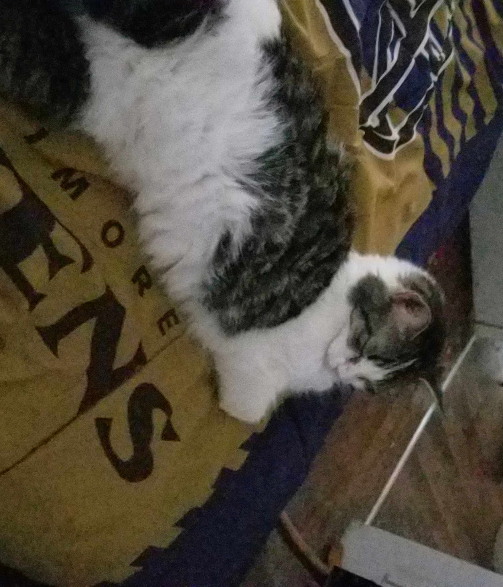 Marbles