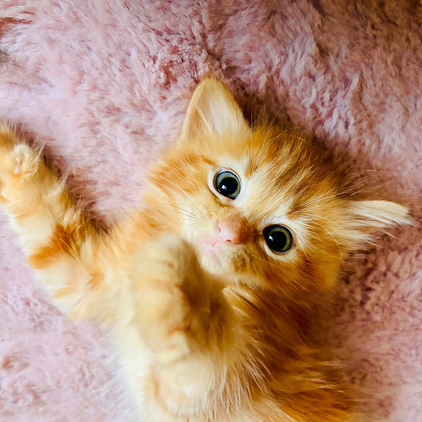 Honey