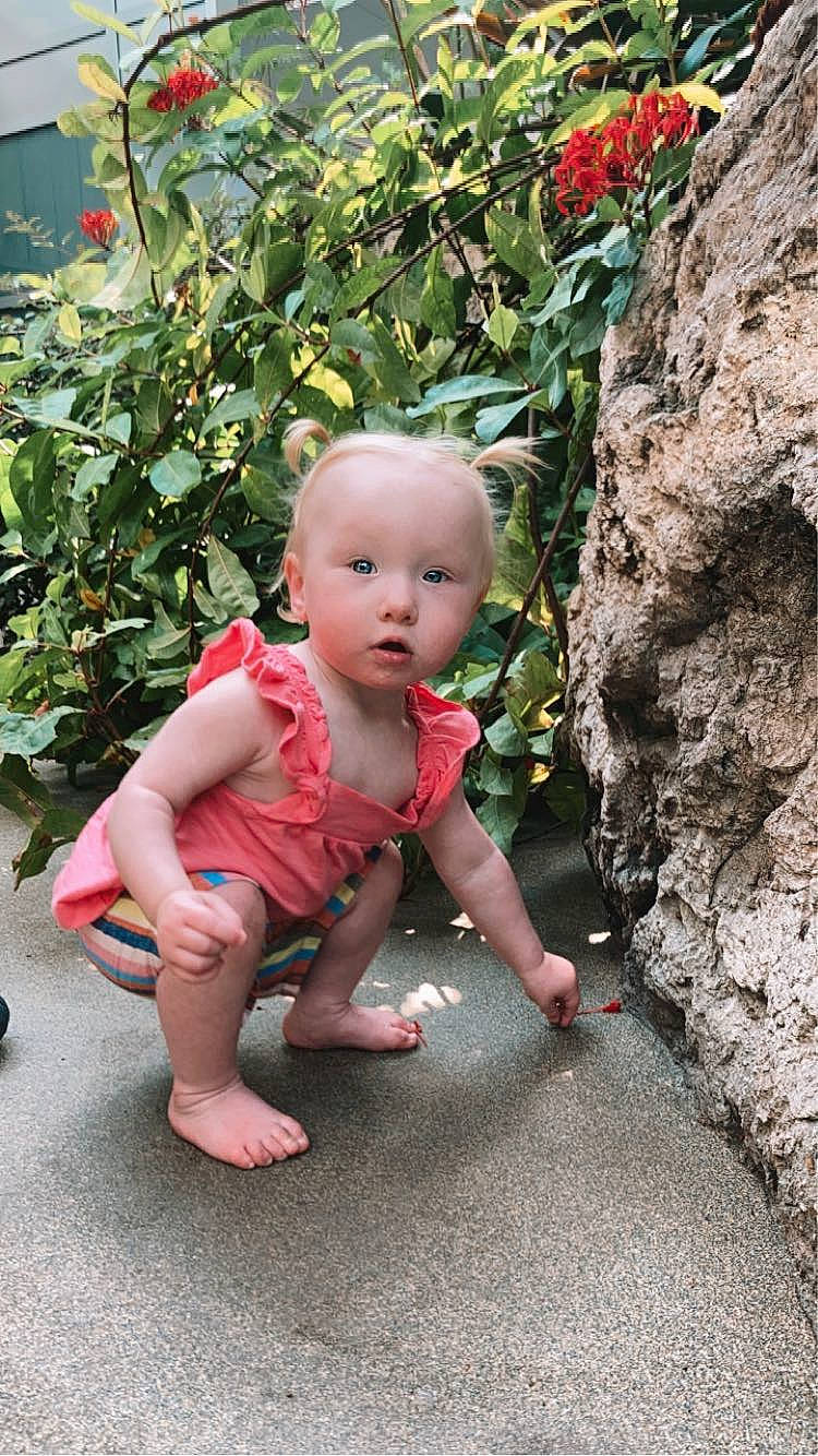 Brynleigh is registered to the contest to win money with this photo: baby, baby_toddler_clothing, child, eye, flooring, foot, fun, garden, grass, head, leisure, people_in_nature, person, plant, rose_family, sitting, skin, toddler, toy, vacation