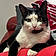 Filou