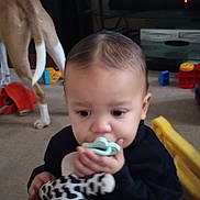 Cameron joined the competition — help win amazing prizes! toddler, child, pacifier, plush_toy, indoor, carpet, dog, toy, black_clothing, baby, person, floor, living_room, furniture, cute, young_child, animal, pet, playtime, home