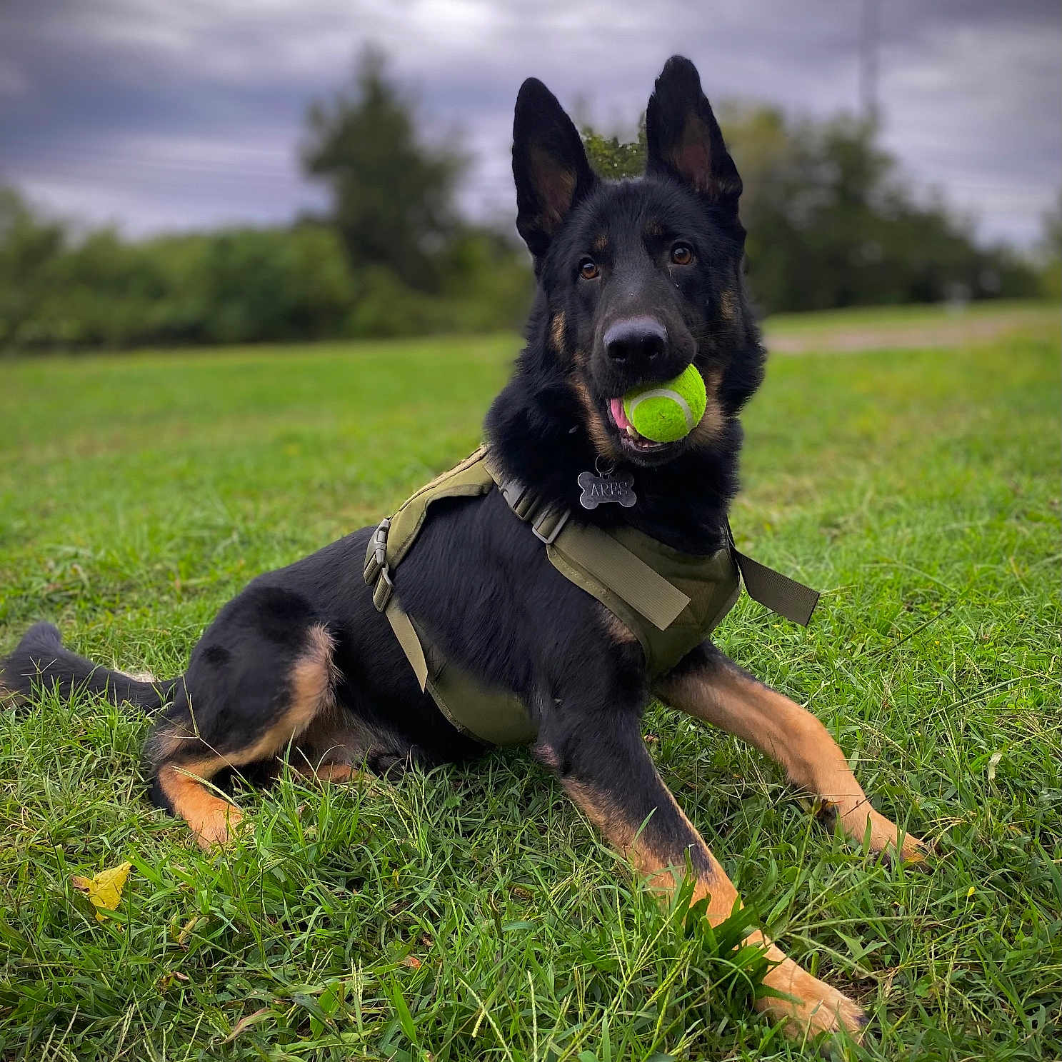 Ares