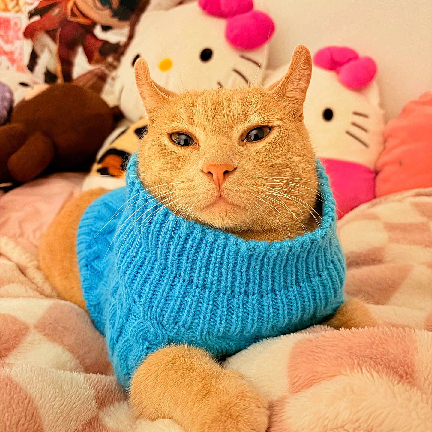 Felipe