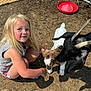 child, blonde_hair, outdoor, animal, baby_goat, goat, petting_zoo, curious, crouching, sunlight, dirt, fence, farm, playful, young, nature, summer, cute, interaction, daytime