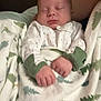 baby, sleeping, blanket, onesie, infant, hands, cozy, pattern, tree, green, white, cute, child, peaceful, resting, soft, warm, portrait, indoors, person