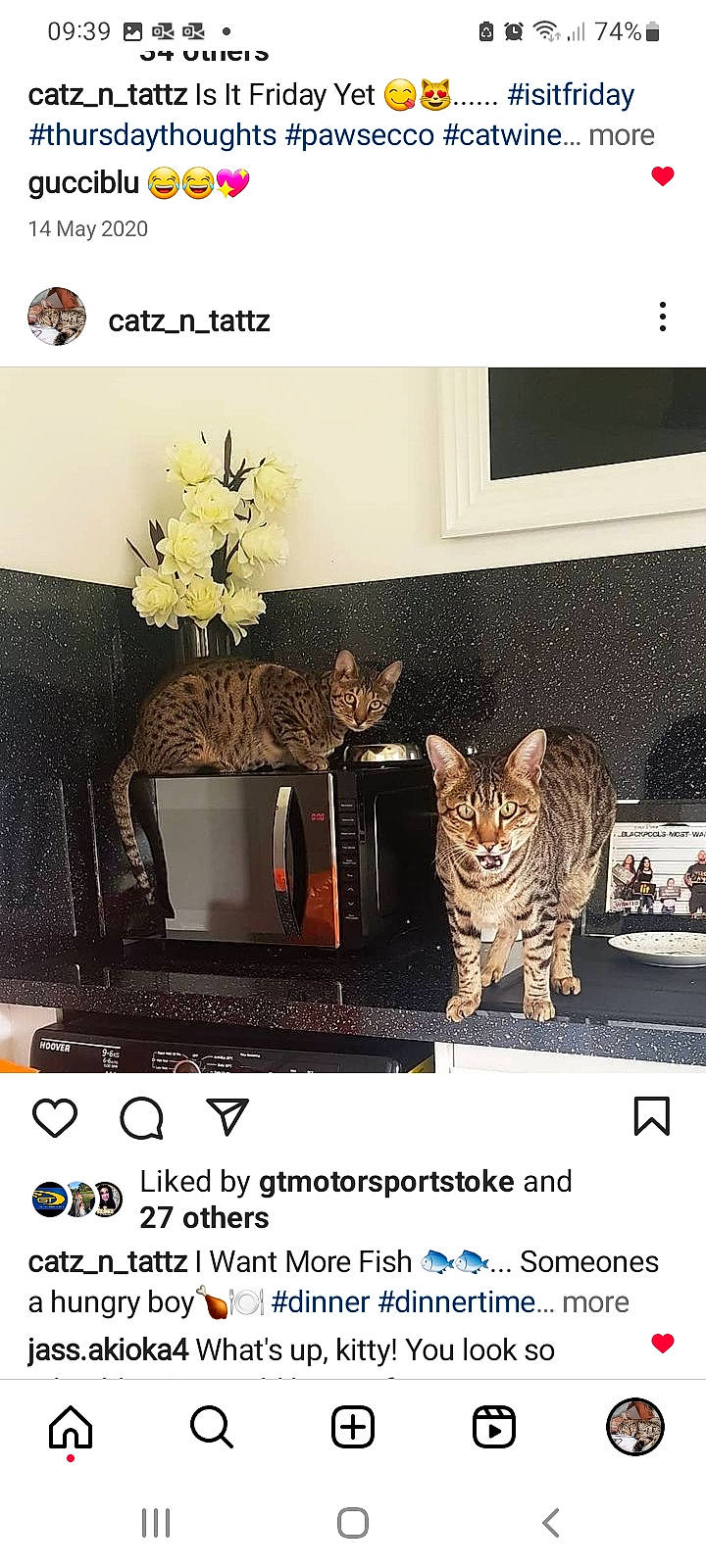 Zari is registered to the contest to win money with this photo: advertising, brand, carnivore, cat, design, fashion_accessory, felidae, font, fur, graphics, line, photo_caption, rectangle, room, screenshot, small_to_medium_sized_cats, whiskers