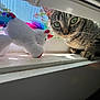 cat, tabby_cat, pet, window_sill, unicorn_plush, stuffed_toy, green_eyes, close_up, sunlight, window_screen, paw, whiskers, curious, portrait, indoor, vertical_orientation, soft_toy, nose, texture, shadow