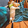 dog, puppy, sleeping, lying_down, back, plush_toy, teddy_bear, hugging, green_harness, blanket, couch, indoor, cozy, relaxed, cute, pet, white_fur, brown_fur, orange, black
