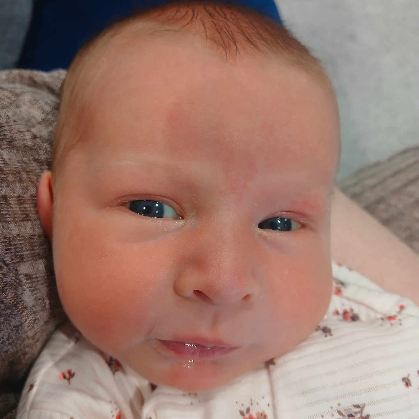 Ada joined the competition — help win amazing prizes! baby, cheeks, child, closeup, clothing, cute, expression, eyes, fabric, face, head, indoors, infant, newborn, pattern, person, portrait, skin, small, soft