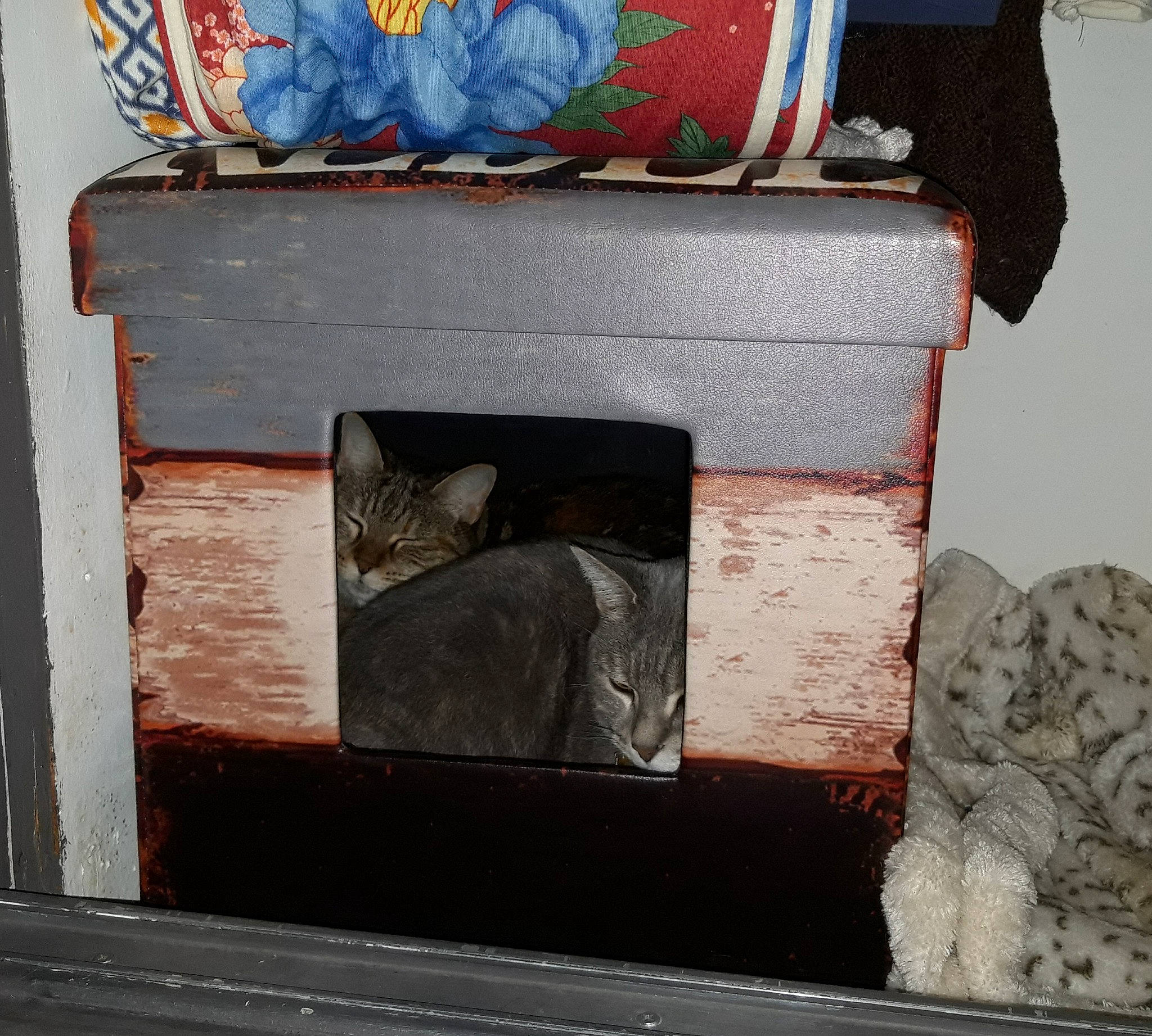 Athéna Et Aphrodite