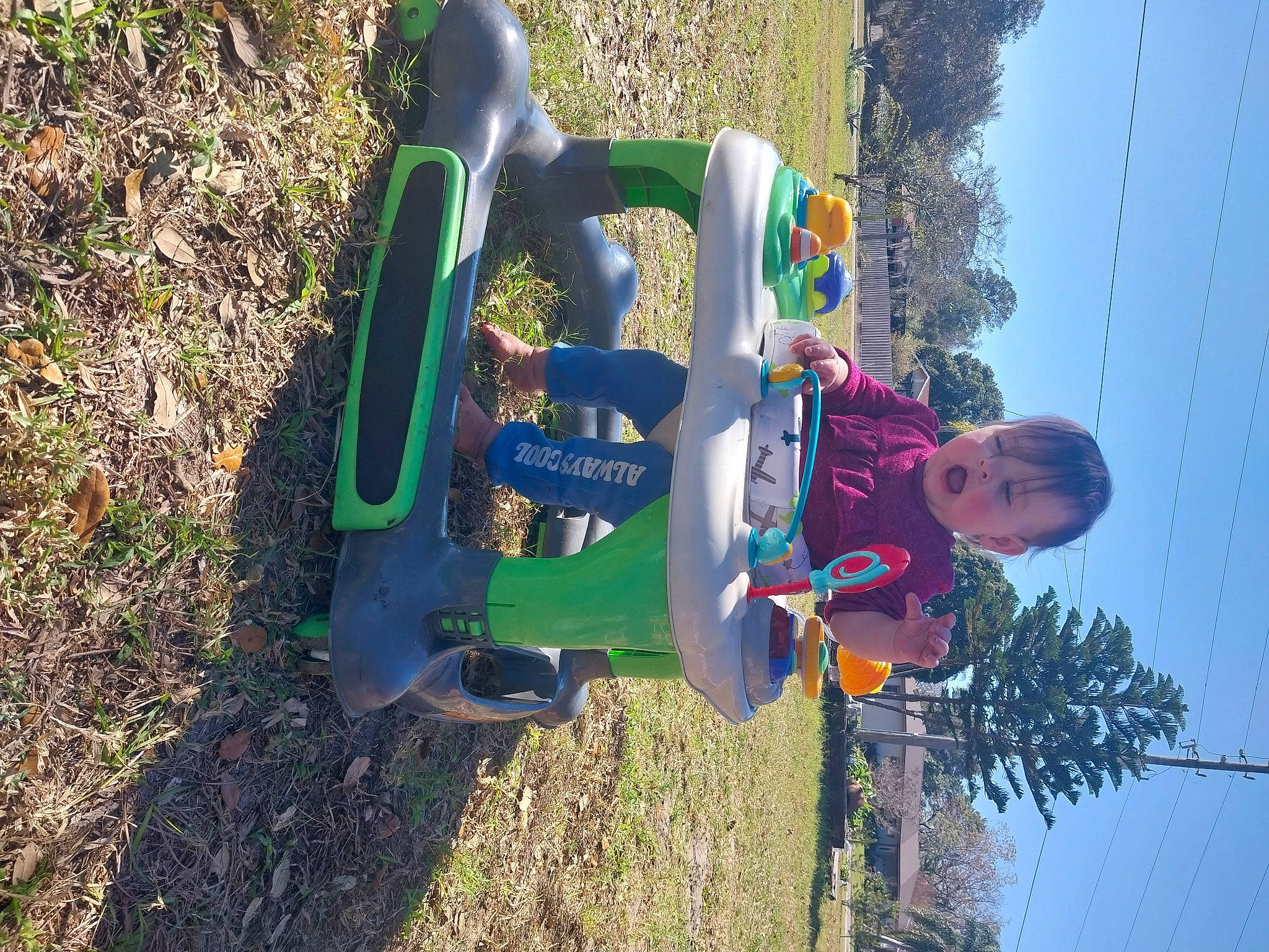 Violet joined the competition — help win amazing prizes! adventure, city, electric_blue, extreme_sport, fun, grass, leisure, outdoor_play_equipment, people_in_nature, person, plant, play, pole, recreation, rope, sky, soil, toddler, tree