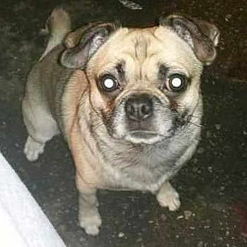 Jack-Jack