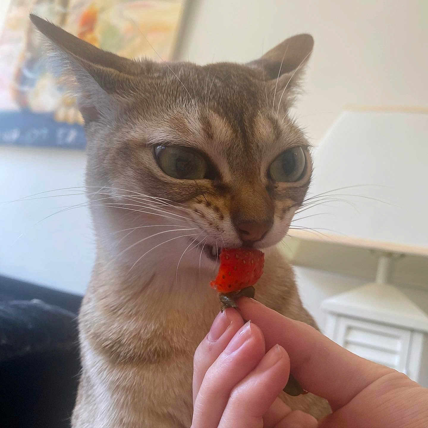 Pinù