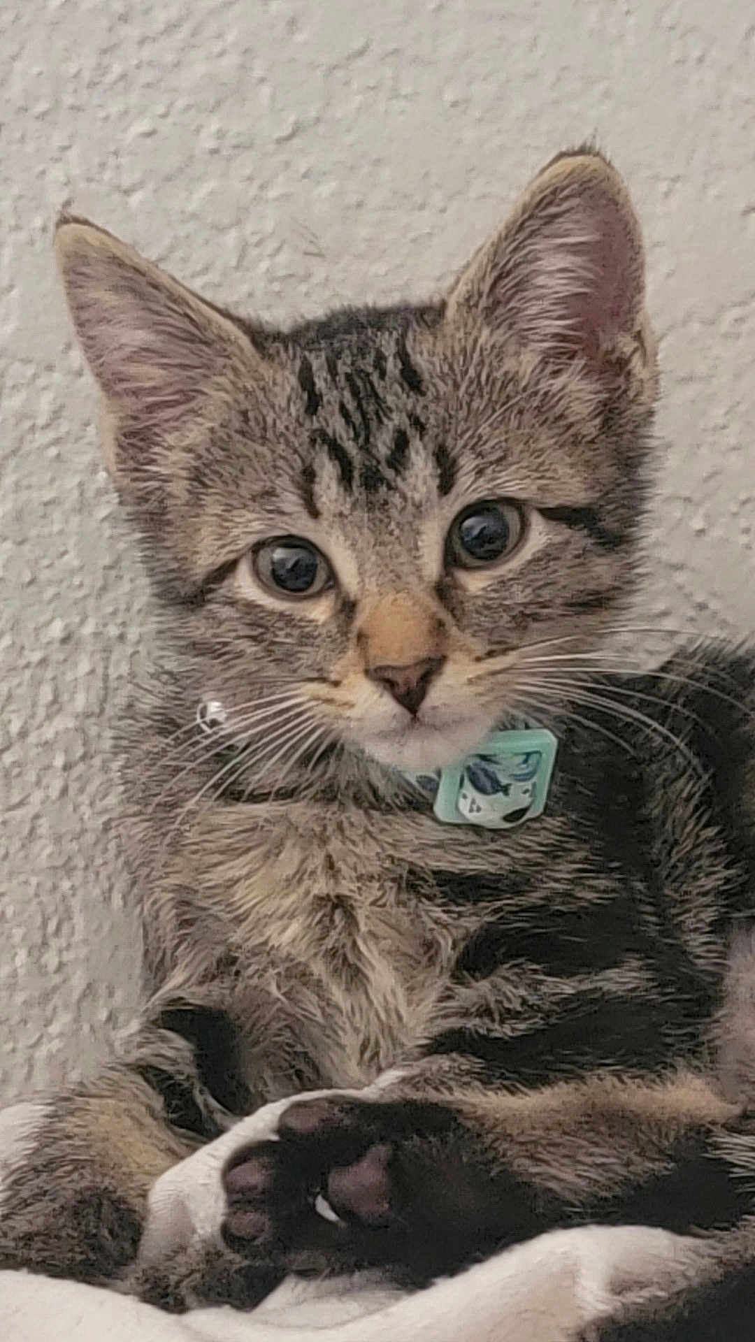 Jun