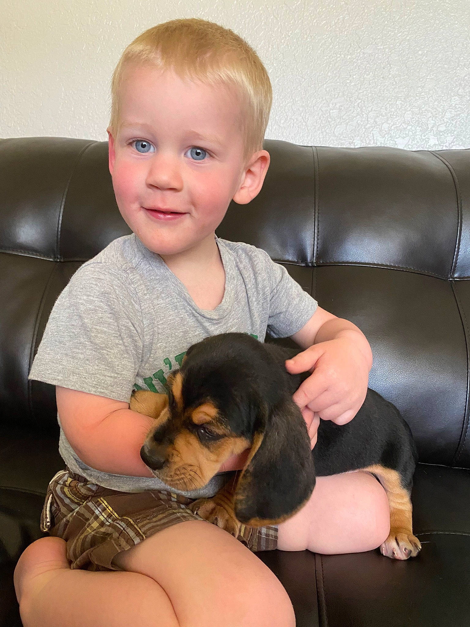 Wesley is registered to the contest to win money with this photo: canidae, carnivore, child, companion_dog, dachshund, dog, dog_breed, fawn, joy, mammal, person, pocket_beagle, puppy, puppy_love, skin, toddler, vertebrate