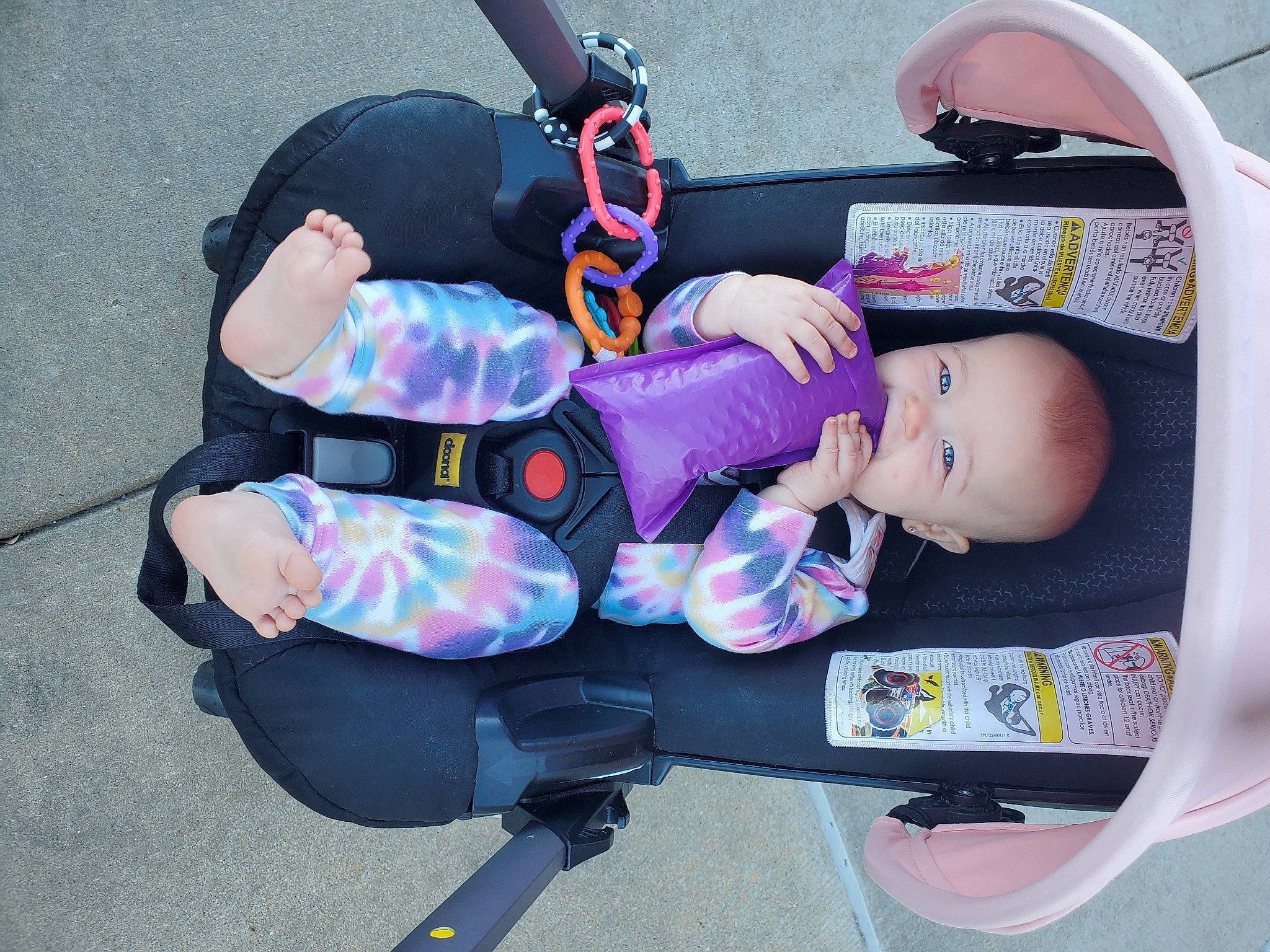 Navi joined the competition — help win amazing prizes! auto_part, baby, baby_carriage, baby_products, baby_toddler_clothing, car_seat, child, comfort, lap, person, sitting, toddler, tree