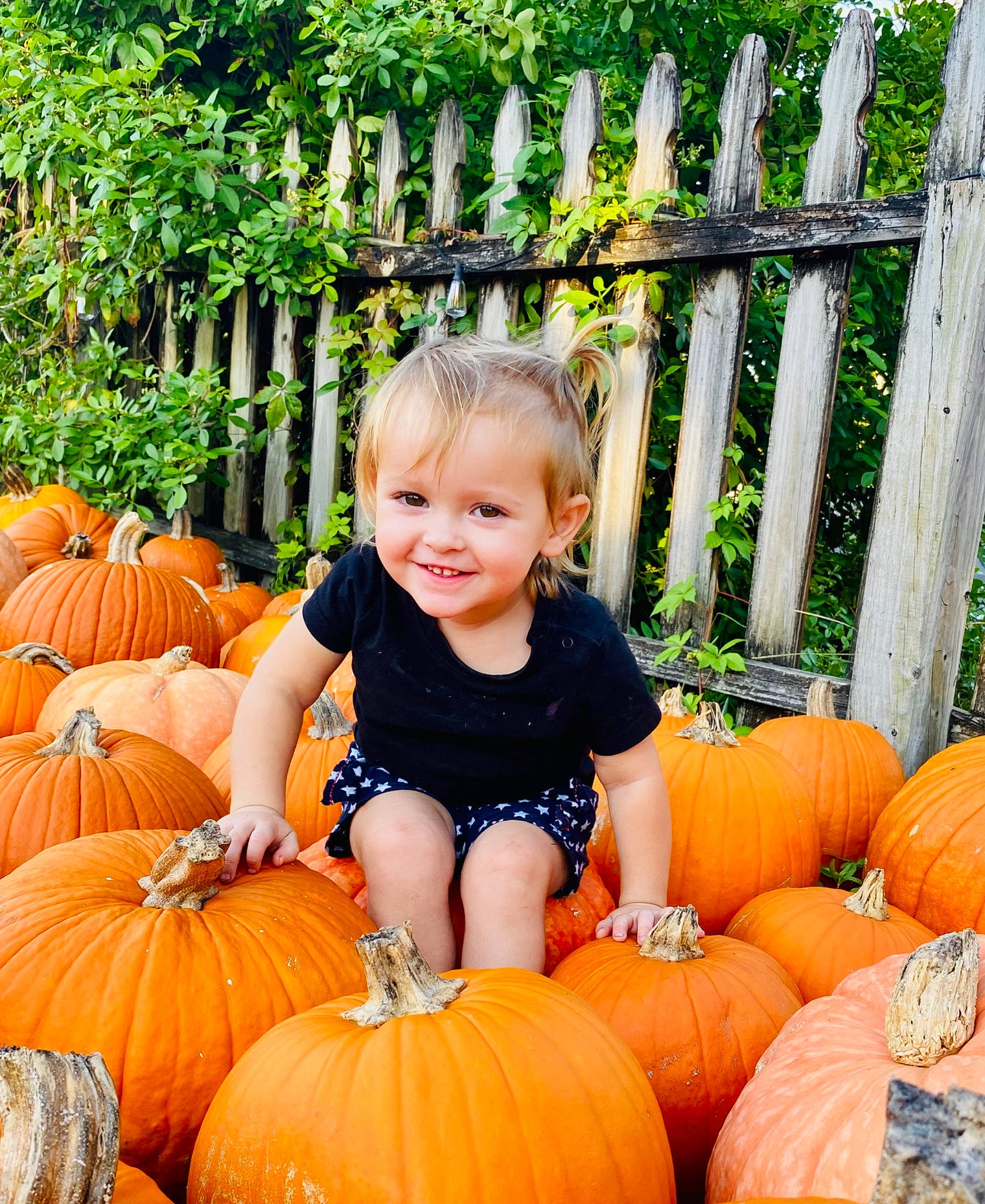 Brook is registered to the contest to win money with this photo: botany, calabaza, clothing, eye, facial_expression, fence, gourd, grass, green, head, human_body, joy, leaf, natural_foods, orange, people_in_nature, person, plant, pumpkin, smile
